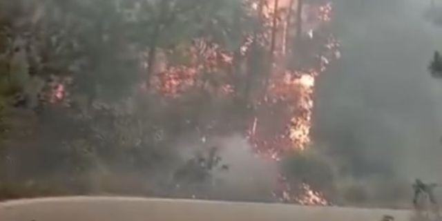 Incendio en carretera de Santa Catarina, Juquila.